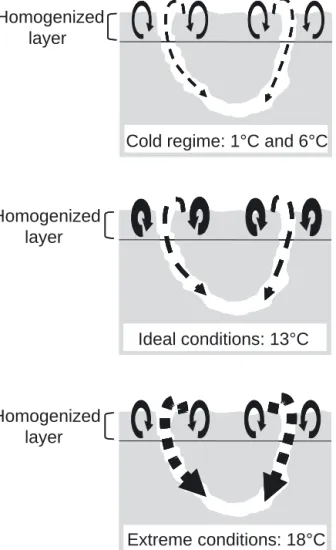 Fig. 3. Relative intensities of sediment mixing modes resulting from bioturbation activities of Neanthes virens after 30 d.