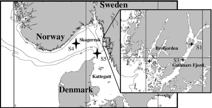 Fig. 1. Map showing the stations visited during the August 1999 and May 2001 (only S5) cruises.