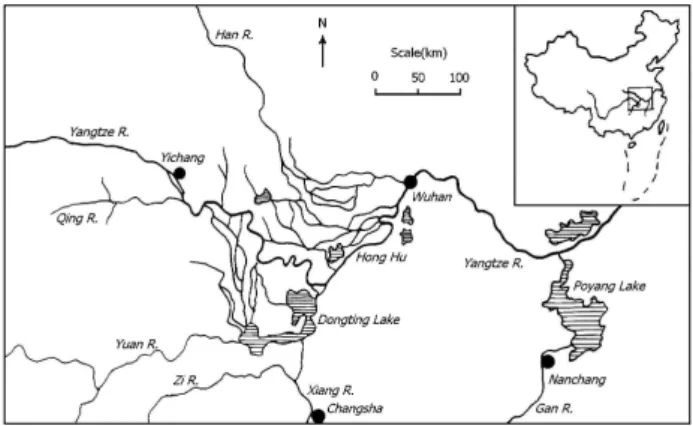 Figure 1 The middle reaches of the Yangtze River basin 