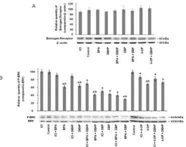 Fig 5. Effect of EDCs alone and in combination on estrogen receptor protein expression and signaling