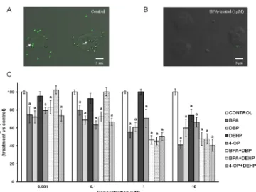 Fig 1. Effect of EDCs alone and in combination on phagocytosis by differentiated THP-1 cells.