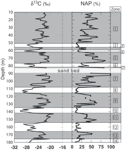 Fig. 3. Comparison of the δ 13 C records with the non-arboreal pollen (NAP) variation curve from the RB core (Fujii et al., 2004; Maki, 2005)