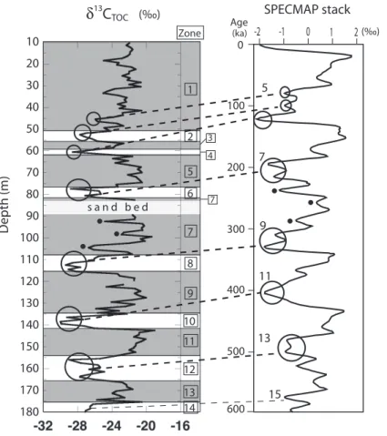 Fig. 4. Comparison of the δ 13 C variation curve from the RB core with the SPECMAP stack (Imbrie et al., 1984)