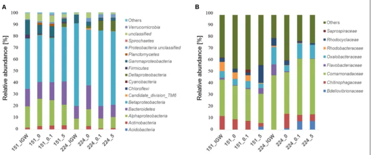 FIGURE 3 | Relative abundance (%) of bacterial phyla/classes (A) and families (B) in groundwater from wells 151 and 224 (IGW: initial groundwater) and in laboratory experiments of groundwater without MET addition (0) or exposed to 0.1 mg L −1 and 5 mg L −1
