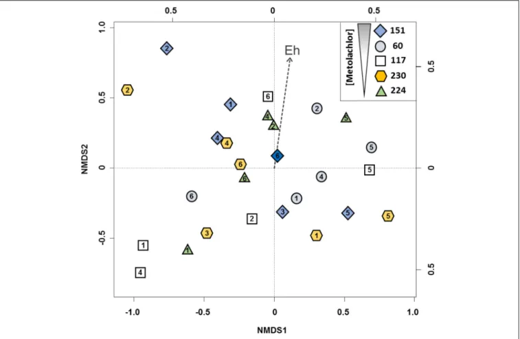 FIGURE 2 | 2D-NMDS ordination of bacterial community profiles from the Ariège alluvial plain groundwater obtained by T-RFLP analysis from 5 wells 151, 60, 117, 230, 224
