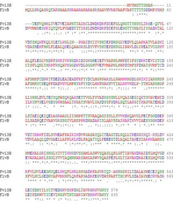 Figure Click here to access/download;Figure;Fig S1.jpg