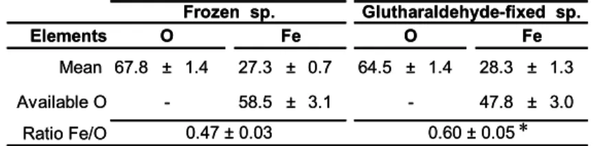 Table 4. Comparison of the mineralogical composition between frozen and glutaraldehyde fixed specimens