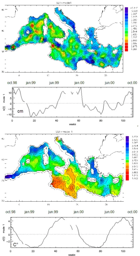 Fig. 4. First mode derived from the coupled pattern analysis of SLA and SSTA data collected during the two years of MFSPP