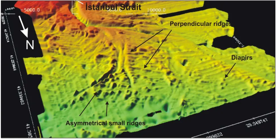 Figure 3. Visualization of ridges on the multibeam bathymetry map showing perpendicular ridges to the channels of the fan and asymmetric ridges at the distal part