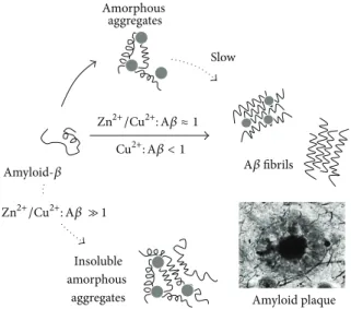 Figure 1: Modulation of amyloid-