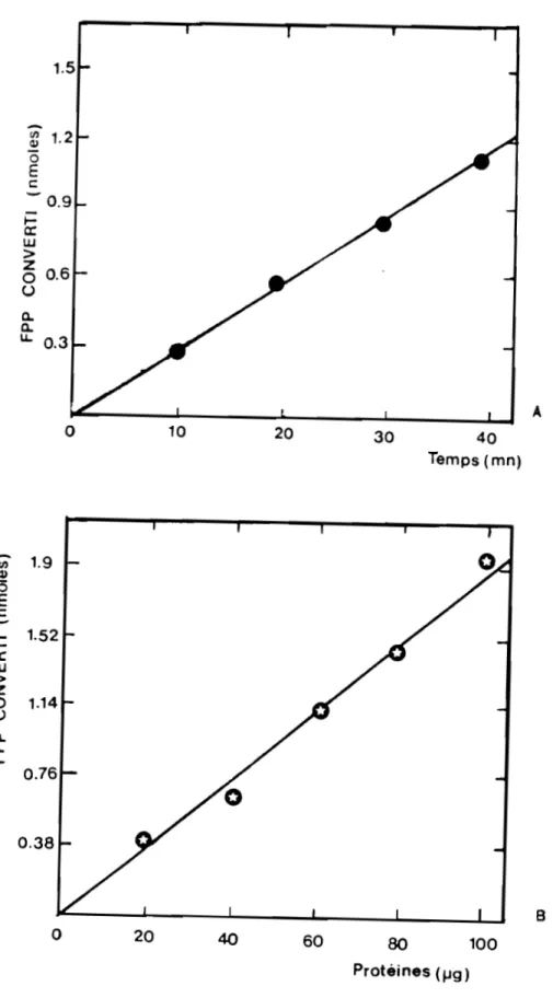 Fig.  21  _  ACTIVITES  SPECIFIQUES  SQUALENE  SYNTHETASE  (Conversion  du  FPP  en  squalène  et  dérivés) 