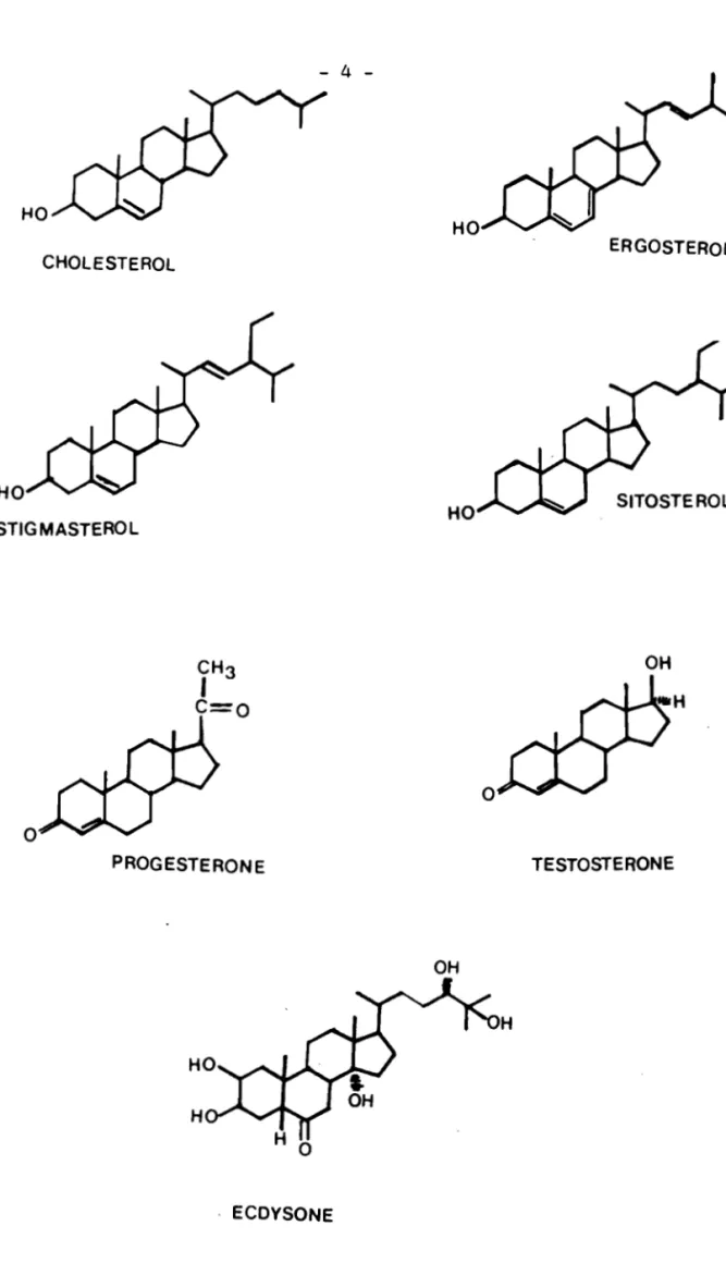Fig.  1  - STEROLS  ET  HORMONES  STEROIOES 