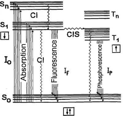 Figure 1 : Diagramme simplifiée de Jablonski