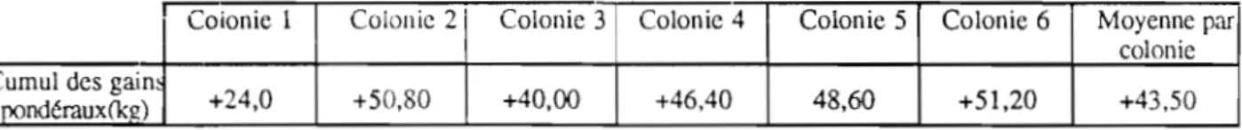 Tableau  5.  Gains  pondéraux  cumulés  par  ruche  pendant  la  miellée  de  saison  sèche  (mi-décembre  à  mi-mars) 
