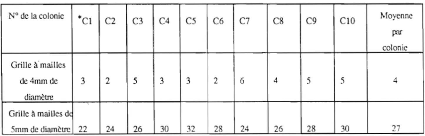 Tableau  1  Nombre  de  passages  d'aheilles  à  travers  la  grille  pendant  10  minutes 