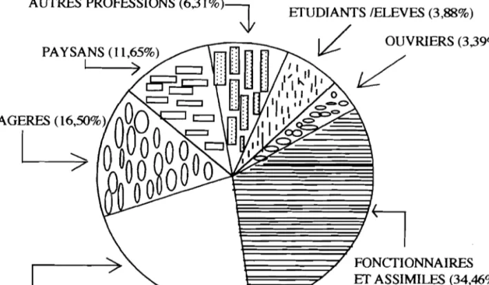 Figure n°  2:  Répartition suivant la catégorie socio-professionnelle. 