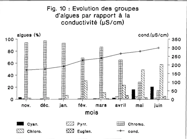 Fig.  10  :  Evolution  des  groupes  d'algues  par  rapport  à  la 