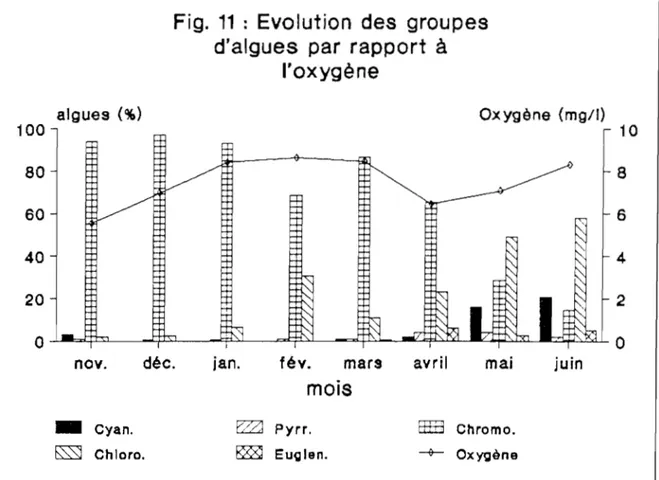 Fig.  11  :  Evolution  des  groupes  d'algues  par  rapport  à 
