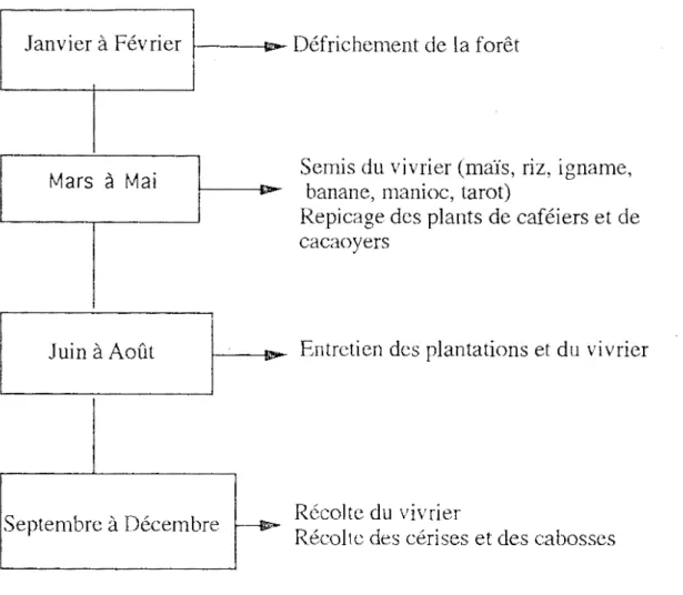 Figure  6  :  Calendrier  agricole  dans  la  sous-préfeoture  de  Zoukougbeu. 