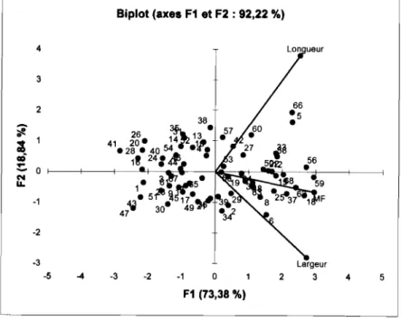 Figure 2 : Structuration des variables (longueur, largeur et masse du fruit (MF)) et répartition des safous de 68 arbres du district de Boko, sur le plan principal