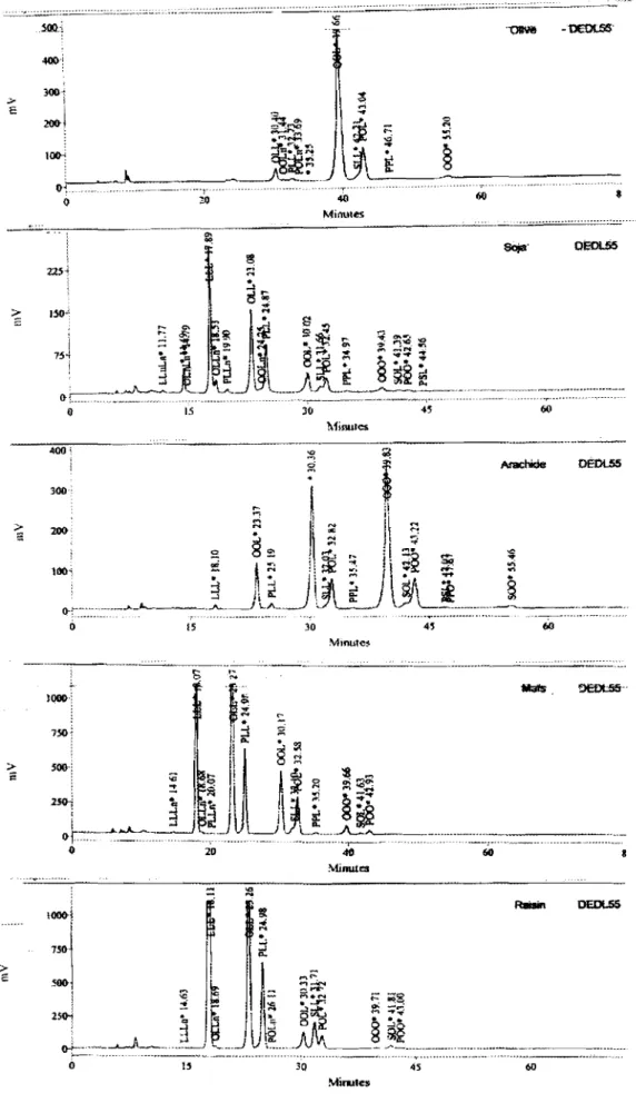Figure Il : Chromatogrammes des TAG par CLHP des huiles importées.