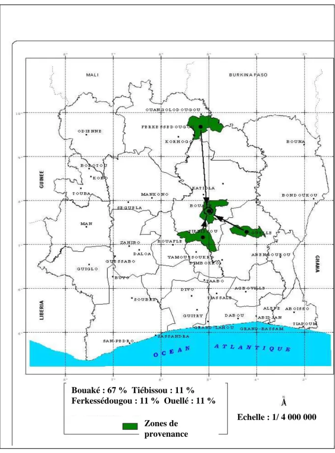 Figure 15 : Zones de provenances du gombo de type Tomi en période de pénurie,                     de janvier à Juin  Echelle : 1/ 4 000 000 Bouaké : 67 %  Tiébissou : 11 % Ferkessédougou : 11 %  Ouellé : 11 %         Zones de provenance 