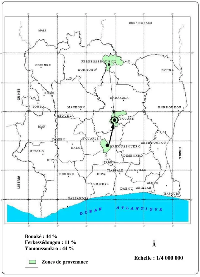 Figure 17 : Zones de provenances du gombo de type Koto en période de pénurie, de décembre                     à avril  Bouaké : 44 %  Ferkessédougou : 11 % Yamoussoukro : 44 %  Echelle : 1/4 000 000 Zones de provenance 
