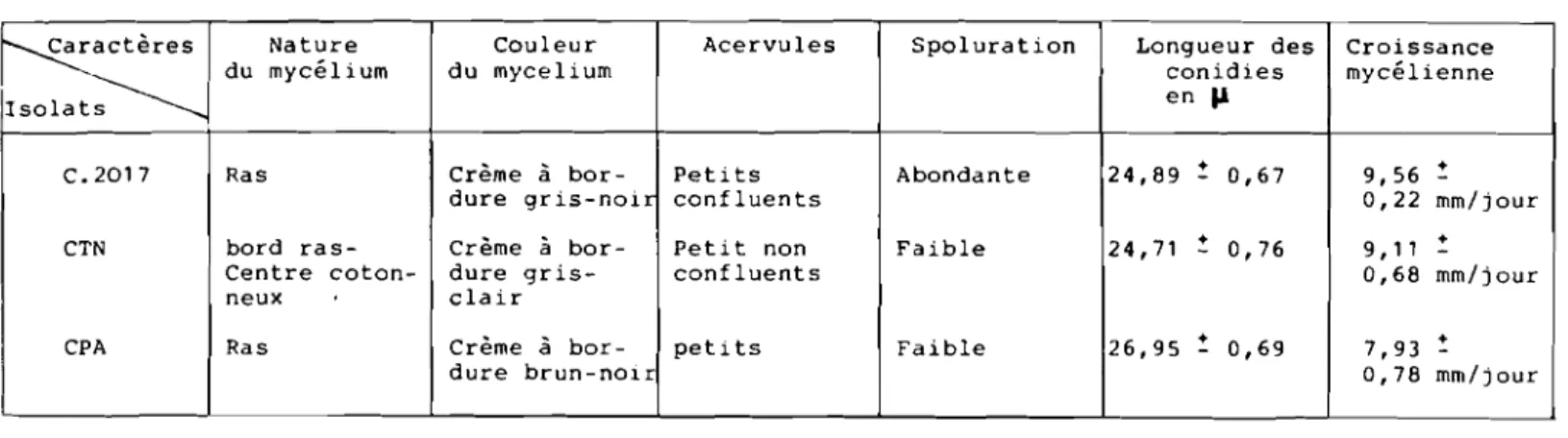 Tableau XVI Caractères culturaux de isolats de Cof(etoiA~cAum après culture d'une semaine sur milieu gélosé B i l a température de 30&#34; C