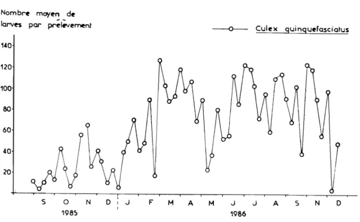 Figure  8  namique  des  populations  larvaires  st(jrjes  3  et  4  de  l  ulex  quinquefasciat us  dans  un  puisard  la  ville  de  Bouaké  isard  N°  4  - quartier  Air  r-ralll('  Il,  de  Septembre  1985  à  Novembre  1986
