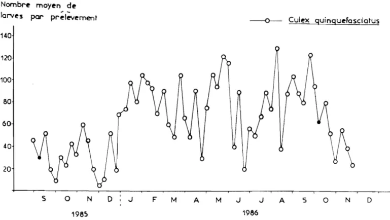 Figure  9  Dynamique  des  populations  larvaires  stades  3  et  4  de  Culex  quinquefasciatus  dans  un  puisard  de  la  ville  de  Bouaké  (puisard  N°  ')  - quartier  Air  ~rance  fi,  de  tembre  1985  à  Novembre  1986