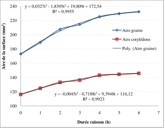 Figure 2-5. Variation des aires de surface de la graine et du cotylédon en fonction de la durée de                      cuisson 