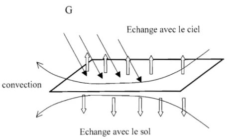 Figure  1.5  : schéma des échanges thermiques des toitures avec leur environnement 