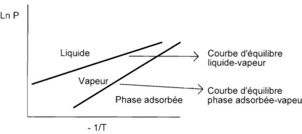 Figure 2-3  : zones d'existence des différentes phases dans un diagramme  ln P  =  f(-lIT) 