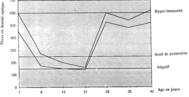 Figure n° 2  :  ELISA moyenne  Gumboro portant sur des centaines de troupeaux: entre les  2 courbes,  50%  de  l'effectif (vaccination  à  7 et 21  jours) par Gumboral  C.T