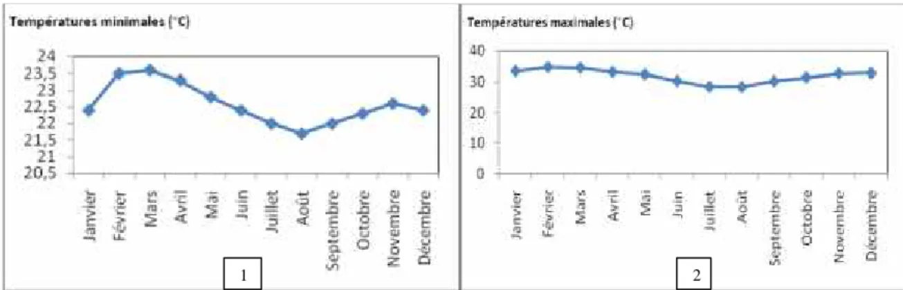Figure 5 : Variation diurne des températures