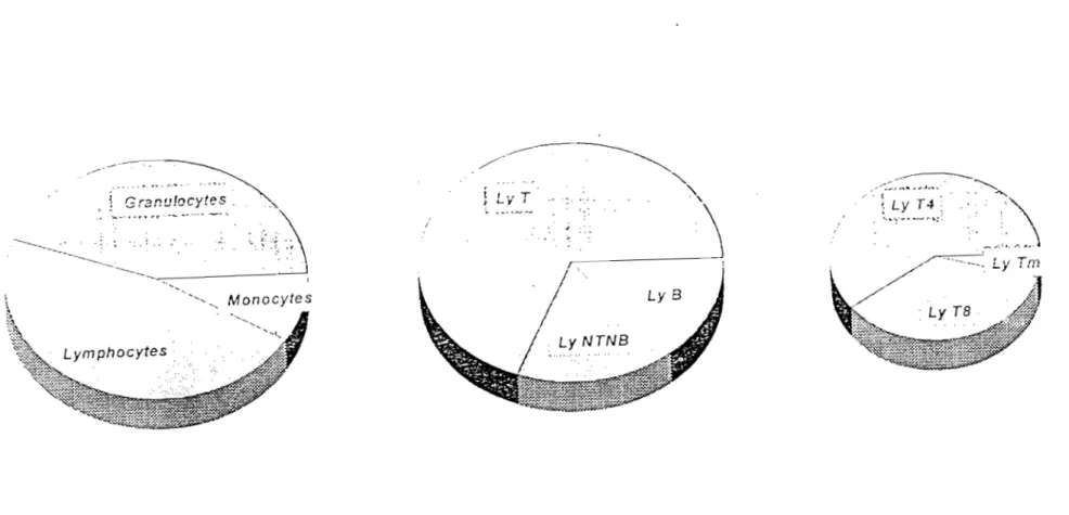 Fig  8 : Les populations leucocytaires et les populations lymphocytaires  de l'adulte Ivoirien .présumé sain, n=114