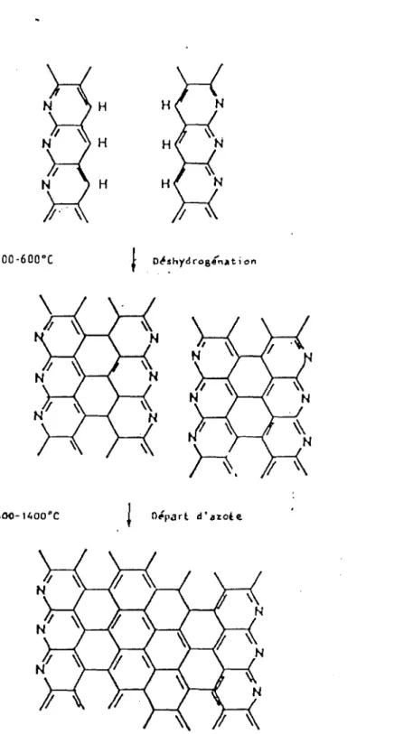 Fig Il: Mécanisme de la carbonisatioll (d'après LEGENDRE (61))