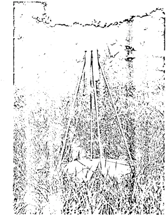 FIGURE  11  a  LE  MOULIN  A  CHAMP 