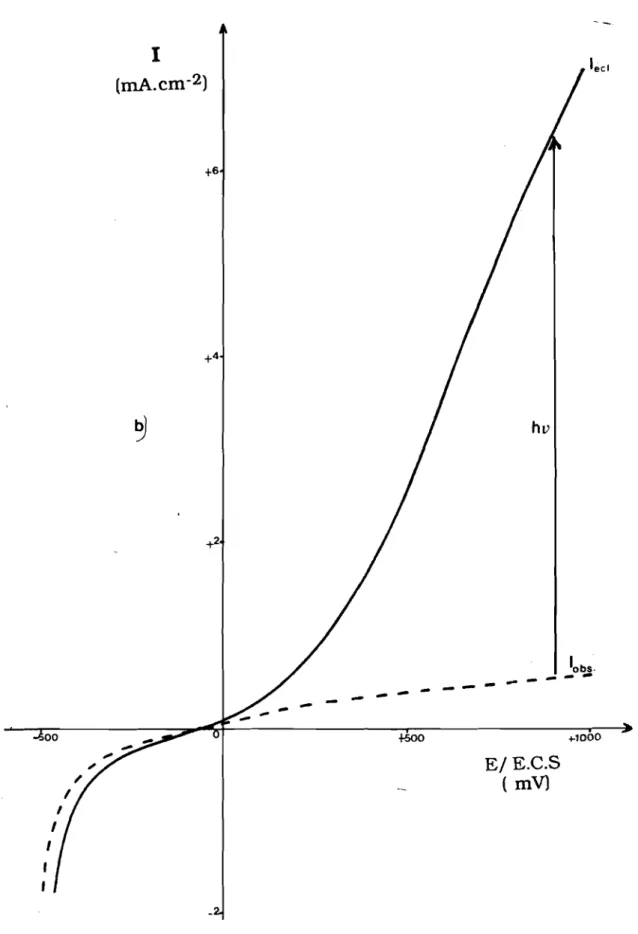 Fig. VI-l-b : Variation des intensités à l'éclairement et à l'obscurité d'un monocristal de MoSe2 (TPv Se 0 g.l-l) en milieu 12 (10-2 M + KI 1 M) .