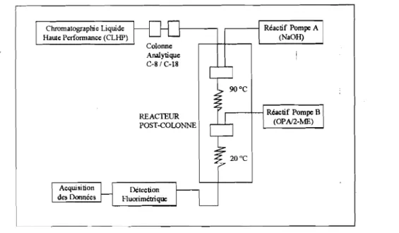 Fig. 5: Diagramme schématique de la dérivatisation des carbamates avec l'OPAI2-ME par CLHP avec réacteur post-colonne [115}.