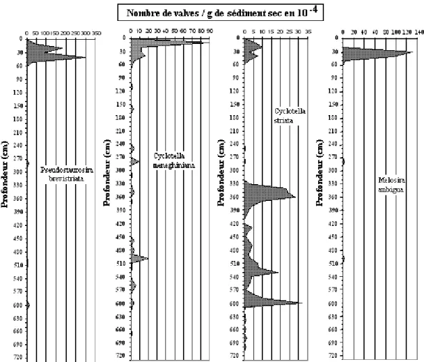 Figure 9 : Evolution du nombre de valves / g de sédiment sec des espèces dominantes le long  de la carotte de Mbawane 