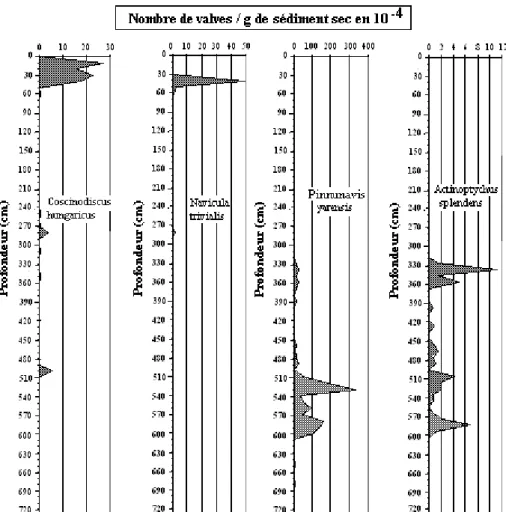 Figure 10 : Evolution du nombre de valves / g de sédiment sec des espèces dominantes le  long de la carotte de Mbawane (suite) 