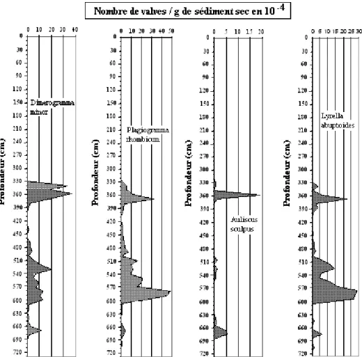 Figure 11 : Evolution du nombre de valves / g de sédiment sec des espèces dominantes le  long de la carotte de Mbawane (suite) 
