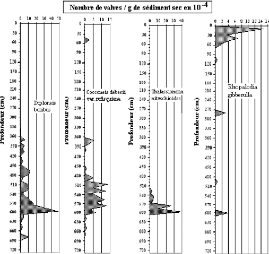 Figure 12 : Evolution du nombre de valves / g de sédiment sec des espèces dominantes le  long de la carotte de Mbawane (suite) 
