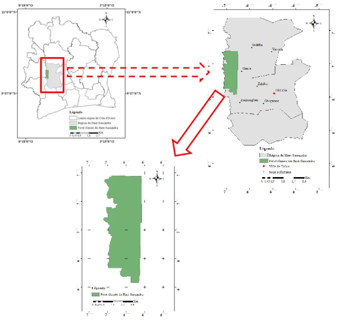 Figure 2 : Localisation de la Forêt Classée du Haut-Sassandra en Côte d’Ivoire  