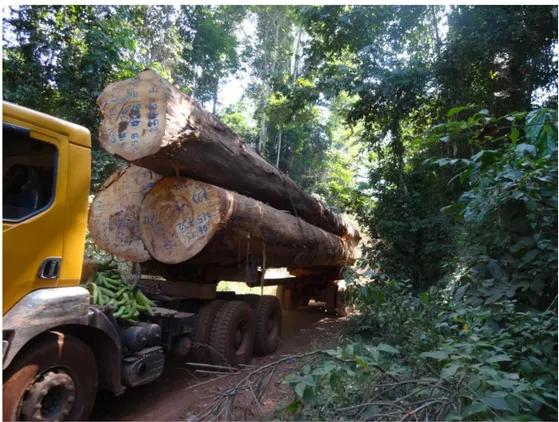 Figure 7 : Camion transportant des billes de bois au sein de la forêt classée du Haut-Sassandra  (Photo : Kouakou, 2015) 