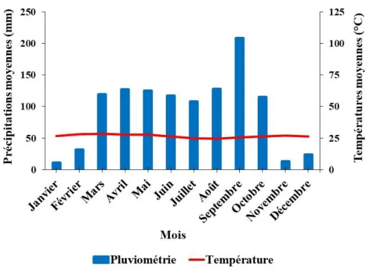 Figure  2 :  Diagramme  ombrothermique  de  la  région  du  Hambol  réalisé  à  partir  des  moyennes des données climatiques de la SODEXAM de 2007 à 2018.