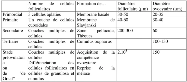 Tableau I: Principales caractéristiques de follicules bovins aux différents stades de son  évolution 