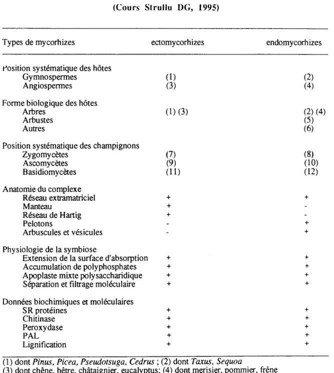 Tableau  l:  Caractères  généraux  des  mycorhizes  et  modéle  unifié  de  fonctionnement 