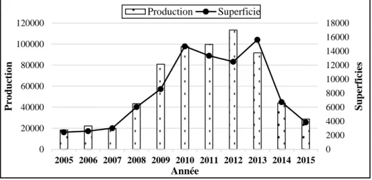 Figure 2 : Evolution des superficies et de la production de l’igname au Burkina Faso de 2005  à 2015